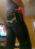 Hot btm for hung bb dp party